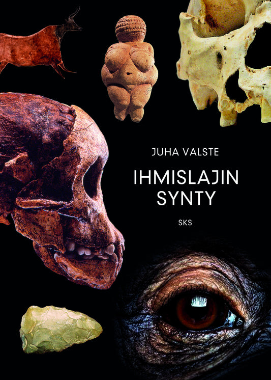 Ihmislajin synty – E-bok