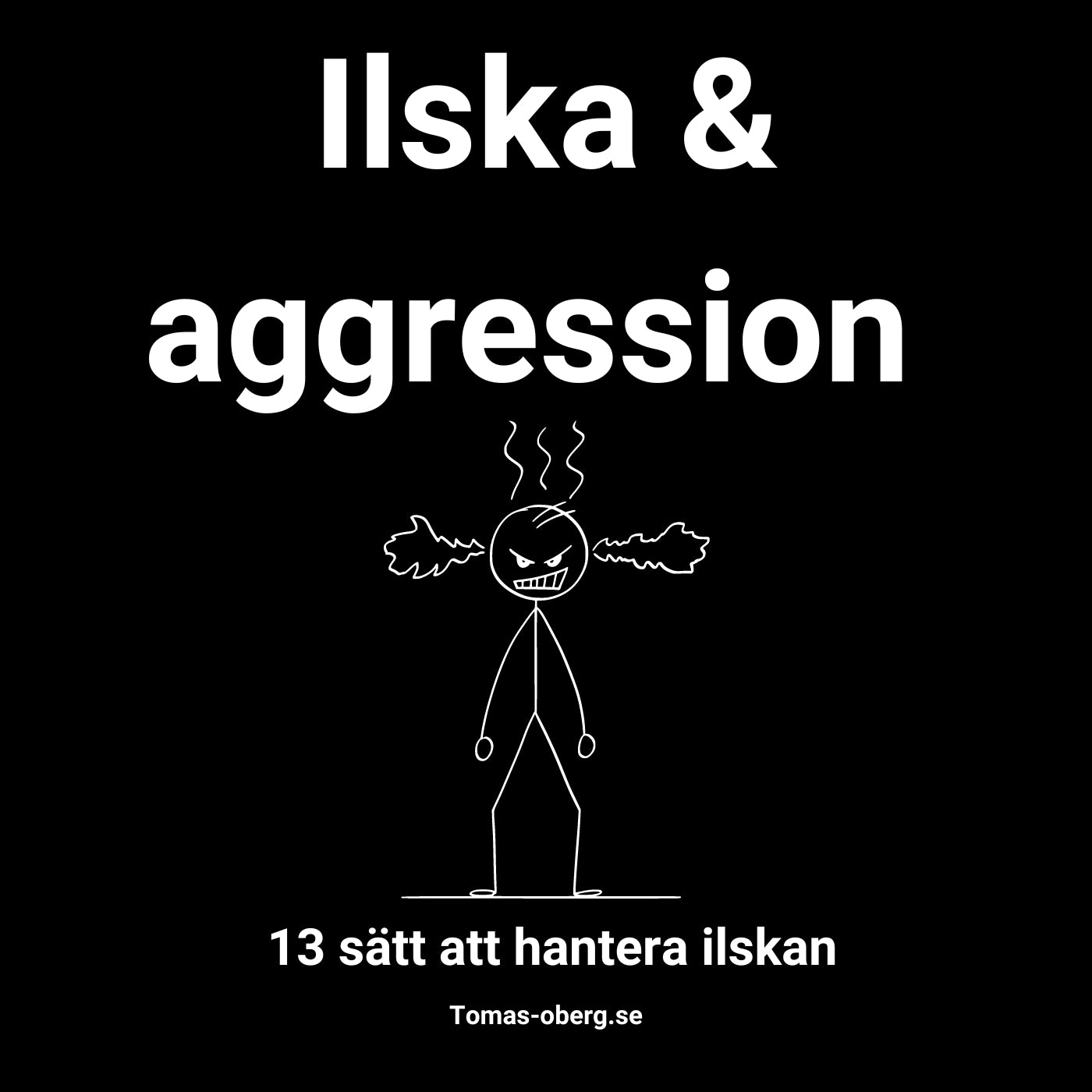 Ilska & aggression -  13 sätt att hantera ilskan – Ljudbok