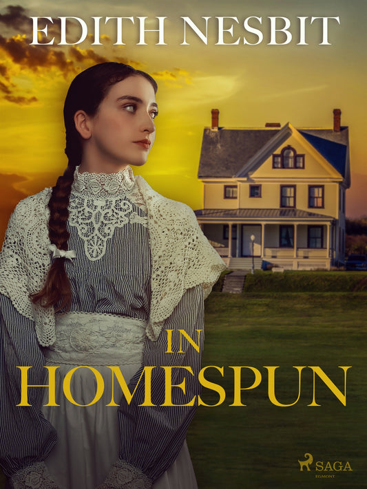 In Homespun – E-bok