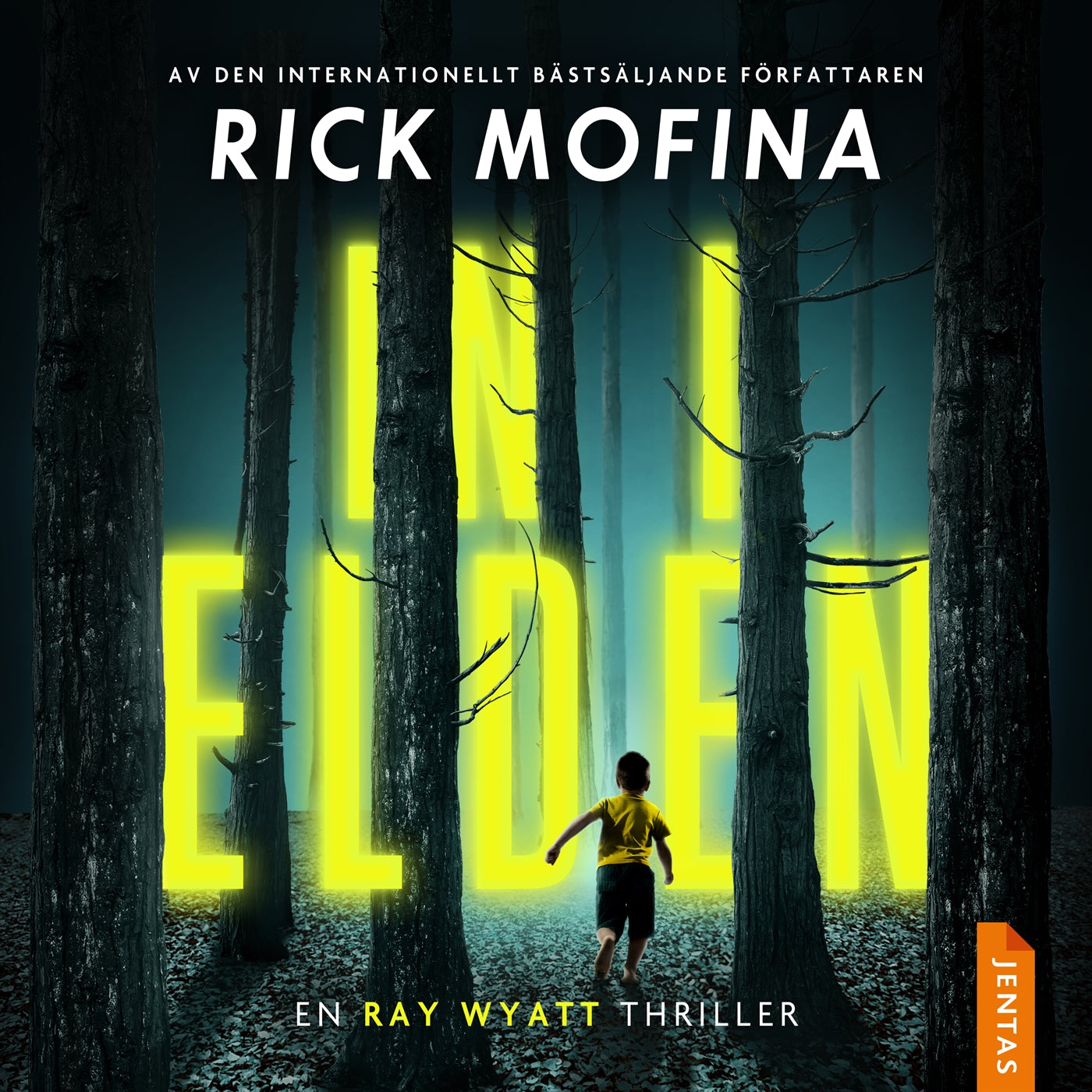 In i elden – Ljudbok