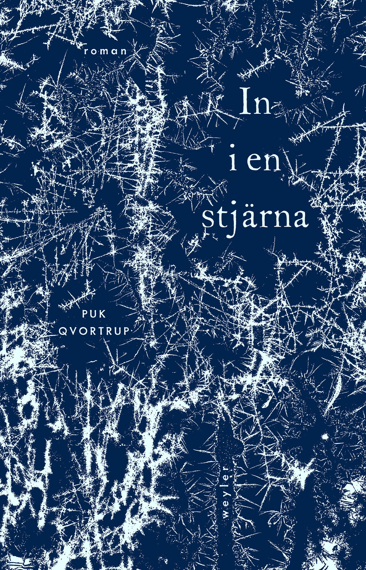 In i en stjärna – E-bok