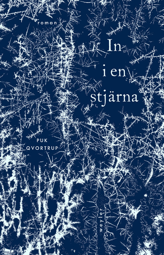 In i en stjärna – E-bok