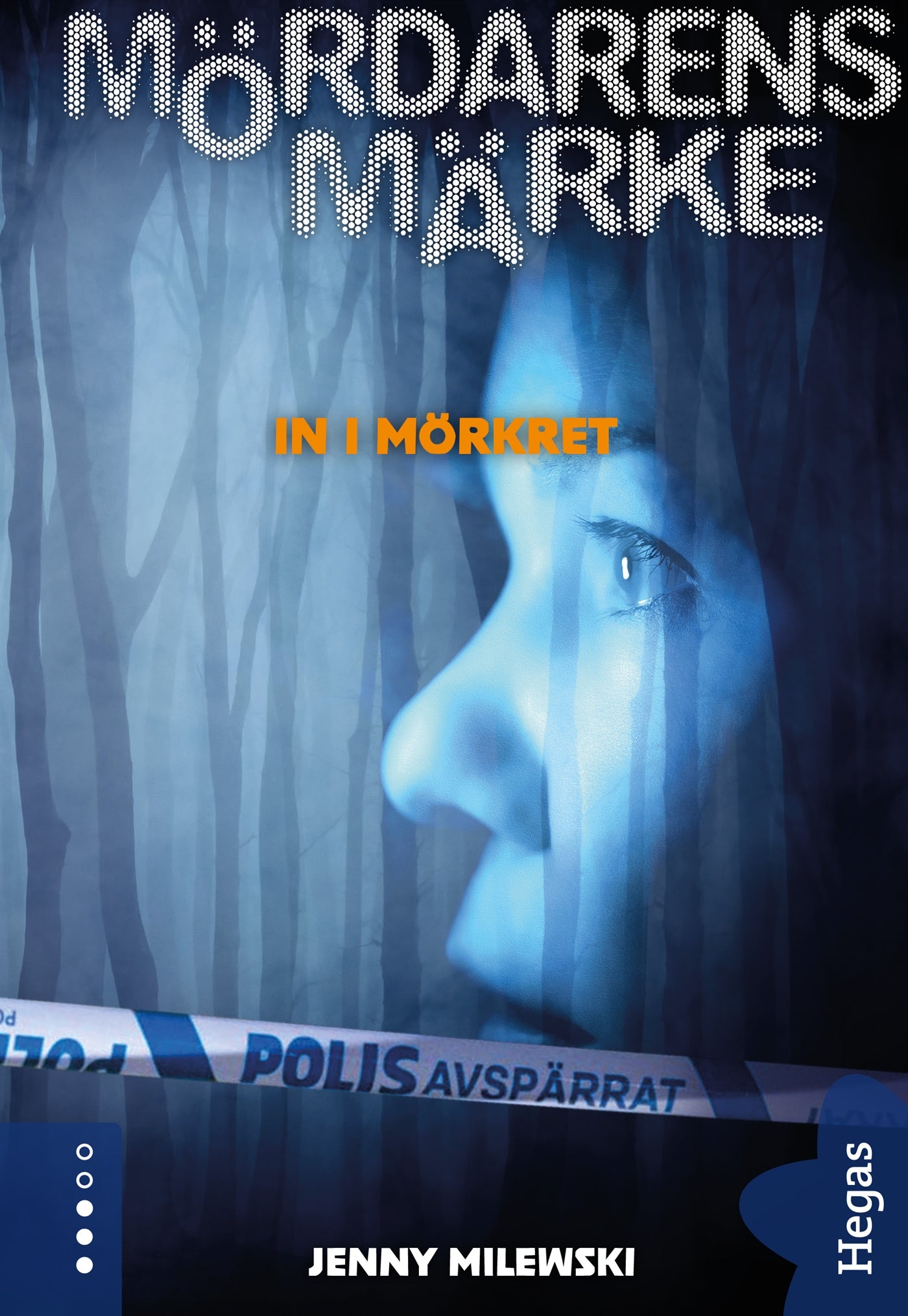 In i mörkret – E-bok