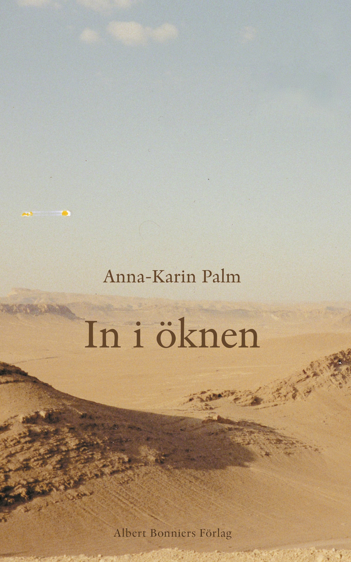 In i öknen – E-bok