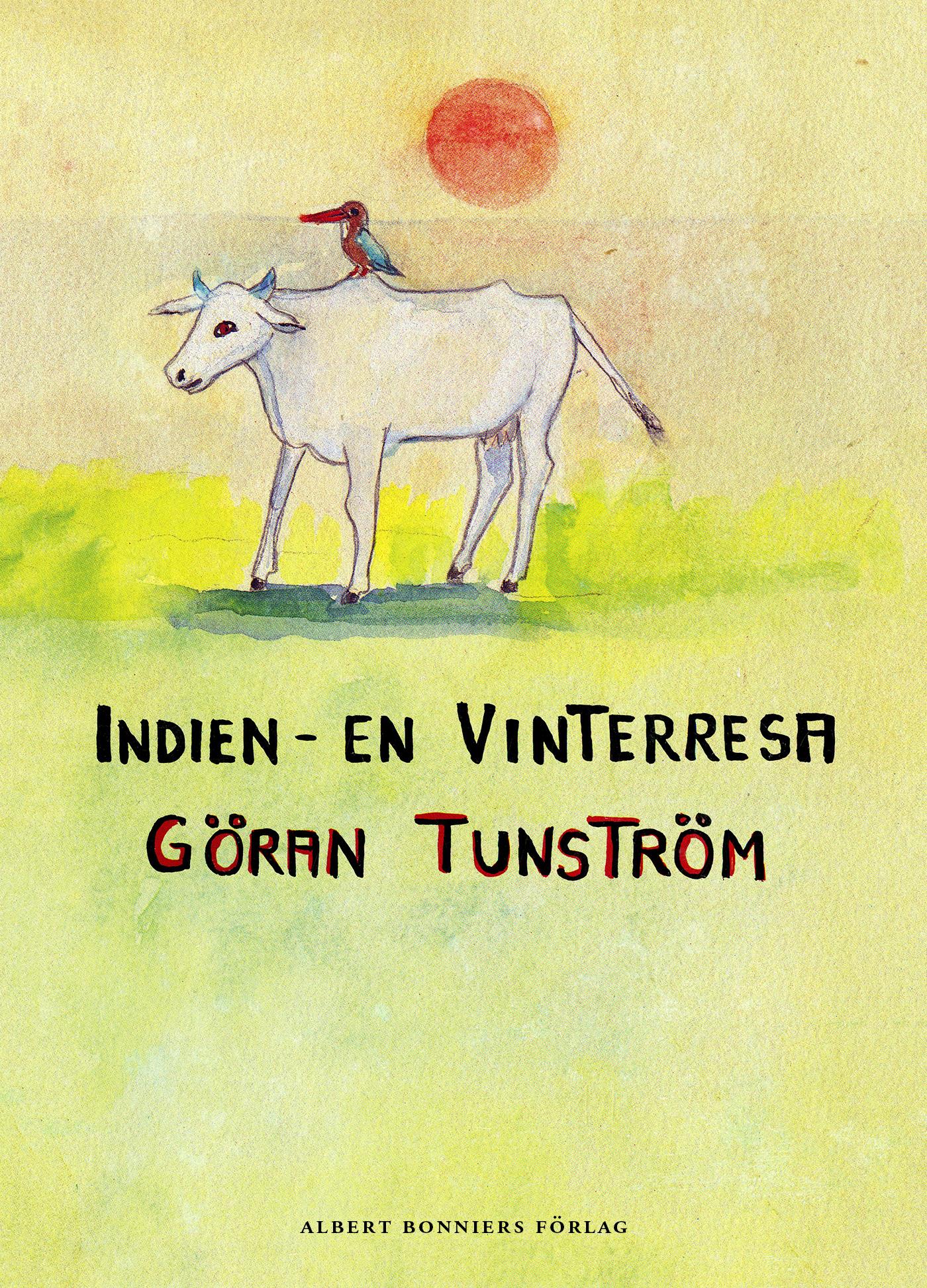 Indien : en vinterresa – E-bok