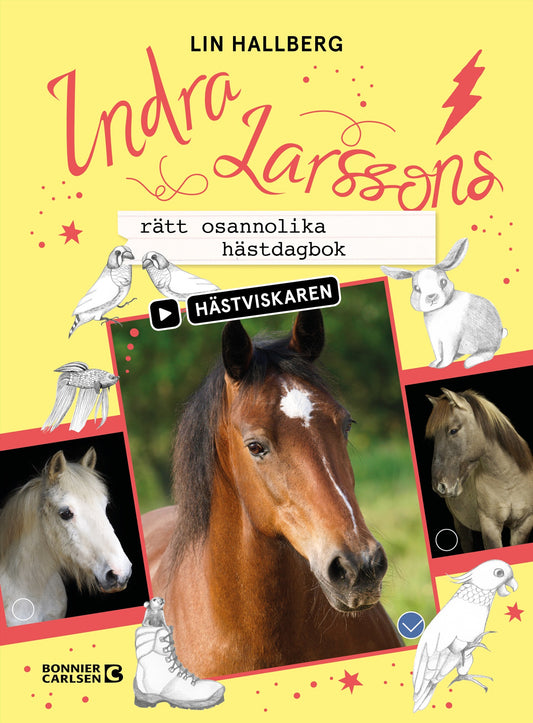 Indra Larssons rätt osannolika hästdagbok – E-bok
