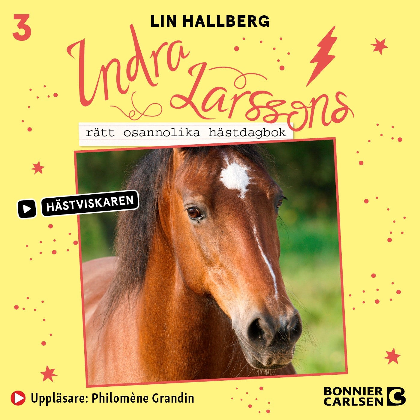Indra Larssons rätt osannolika hästdagbok – Ljudbok
