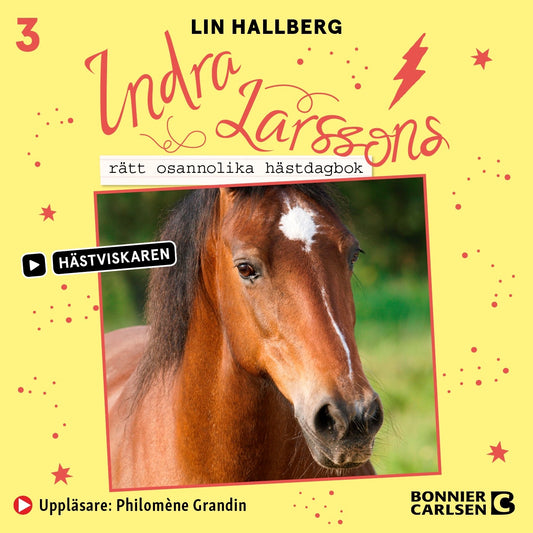 Indra Larssons rätt osannolika hästdagbok – Ljudbok