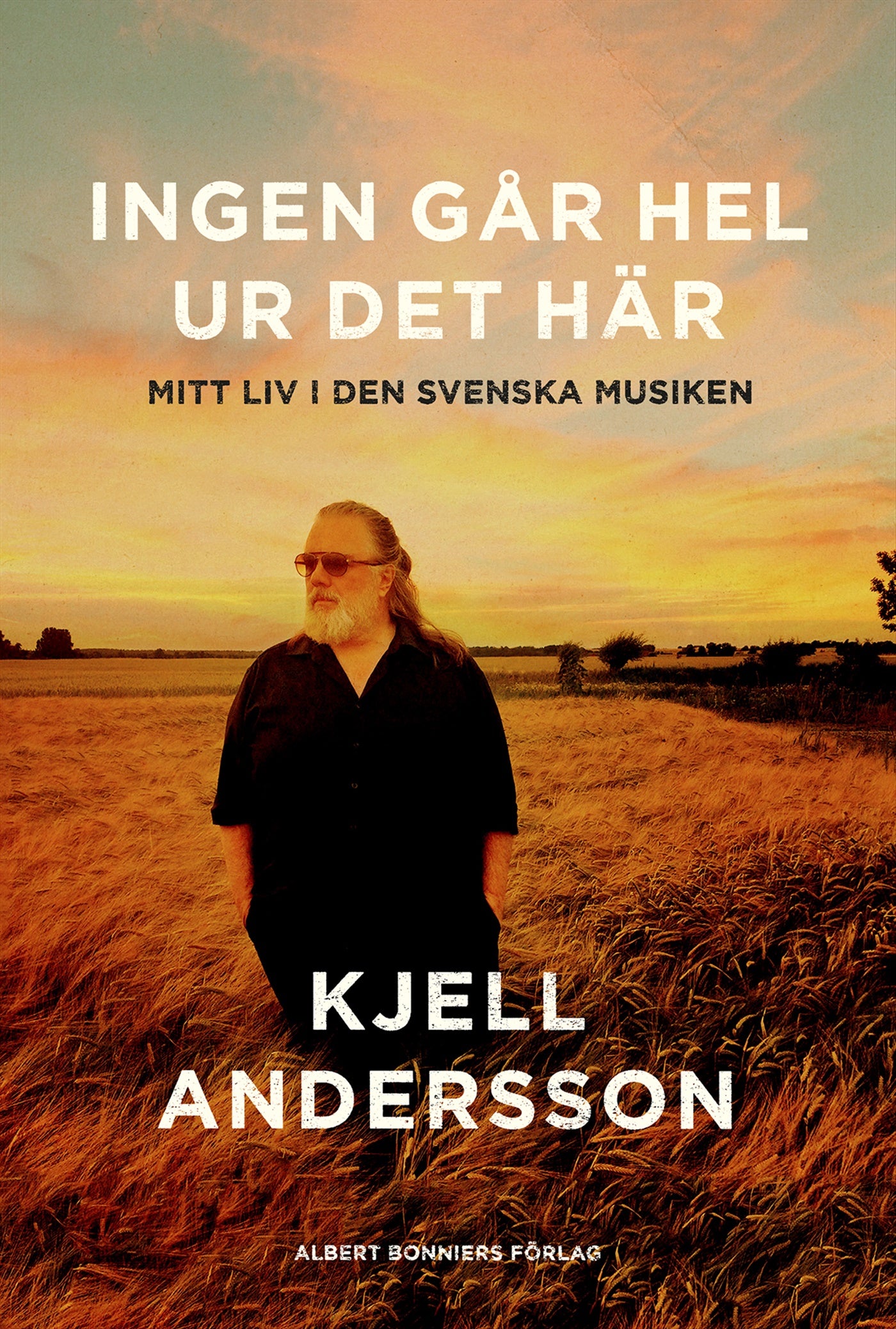 Ingen går hel ur det här : mitt liv i den svenska musiken – E-bok
