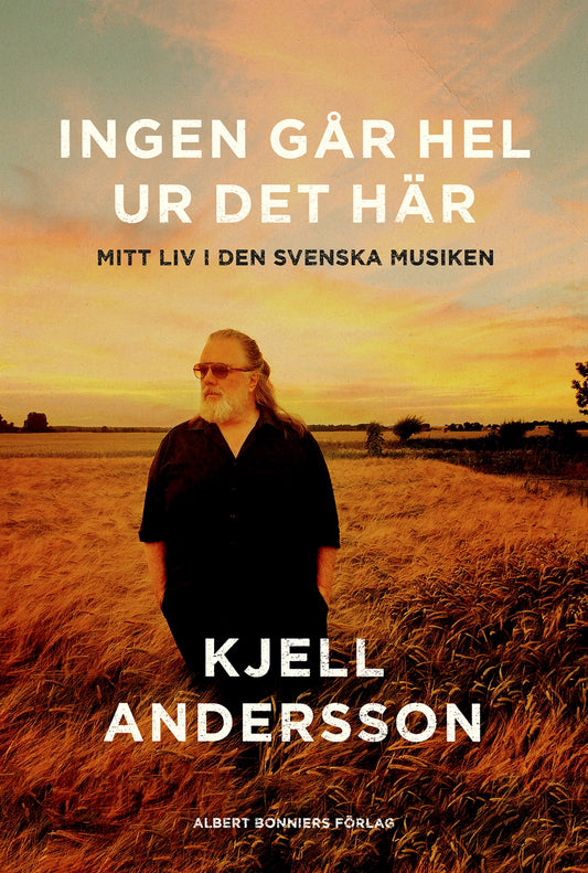 Ingen går hel ur det här : mitt liv i den svenska musiken – E-bok