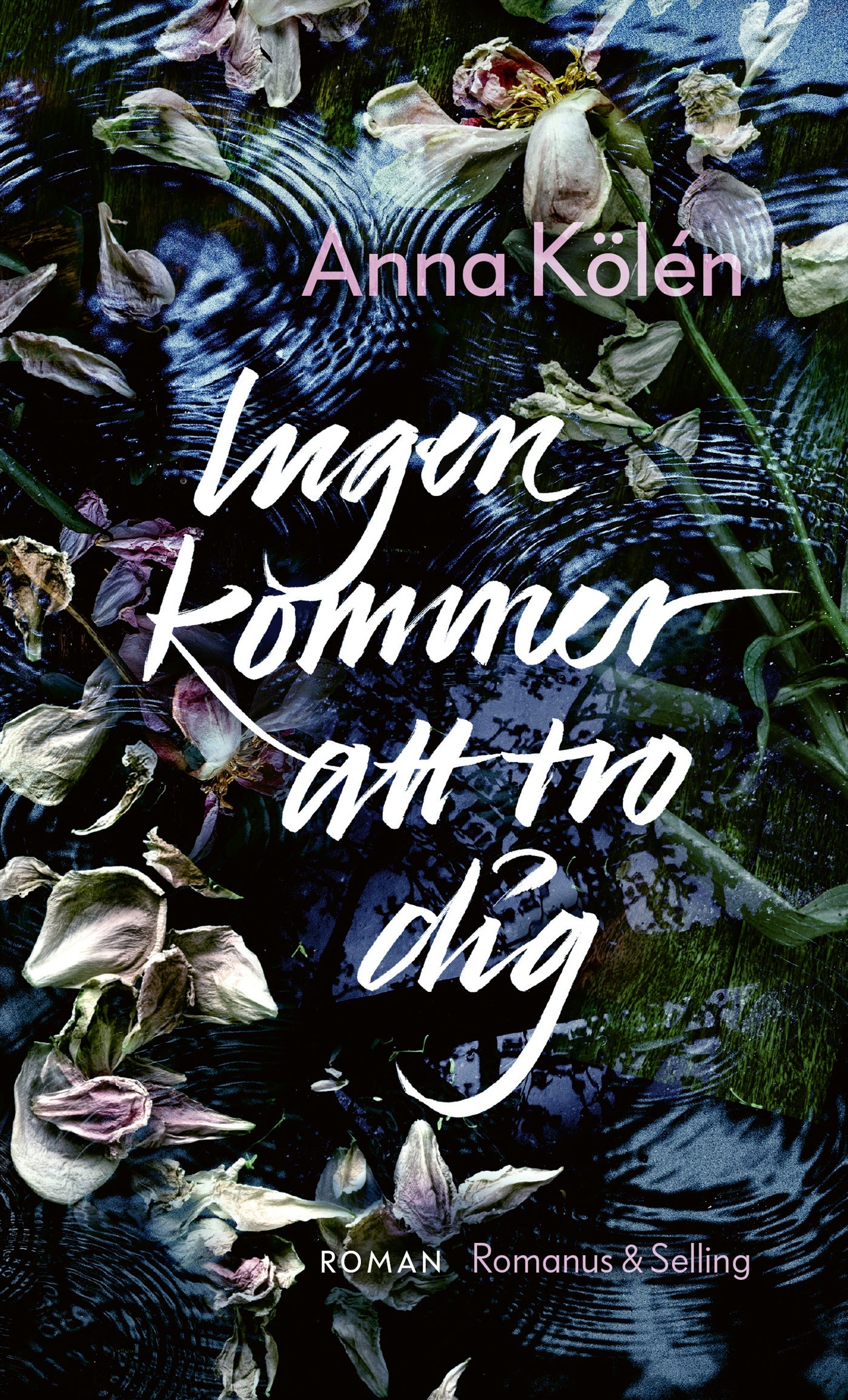 Ingen kommer att tro dig – E-bok