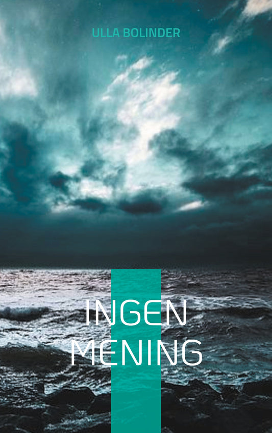 Ingen mening – E-bok