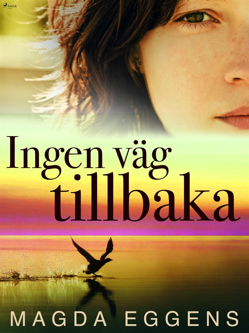 Ingen väg tillbaka – E-bok