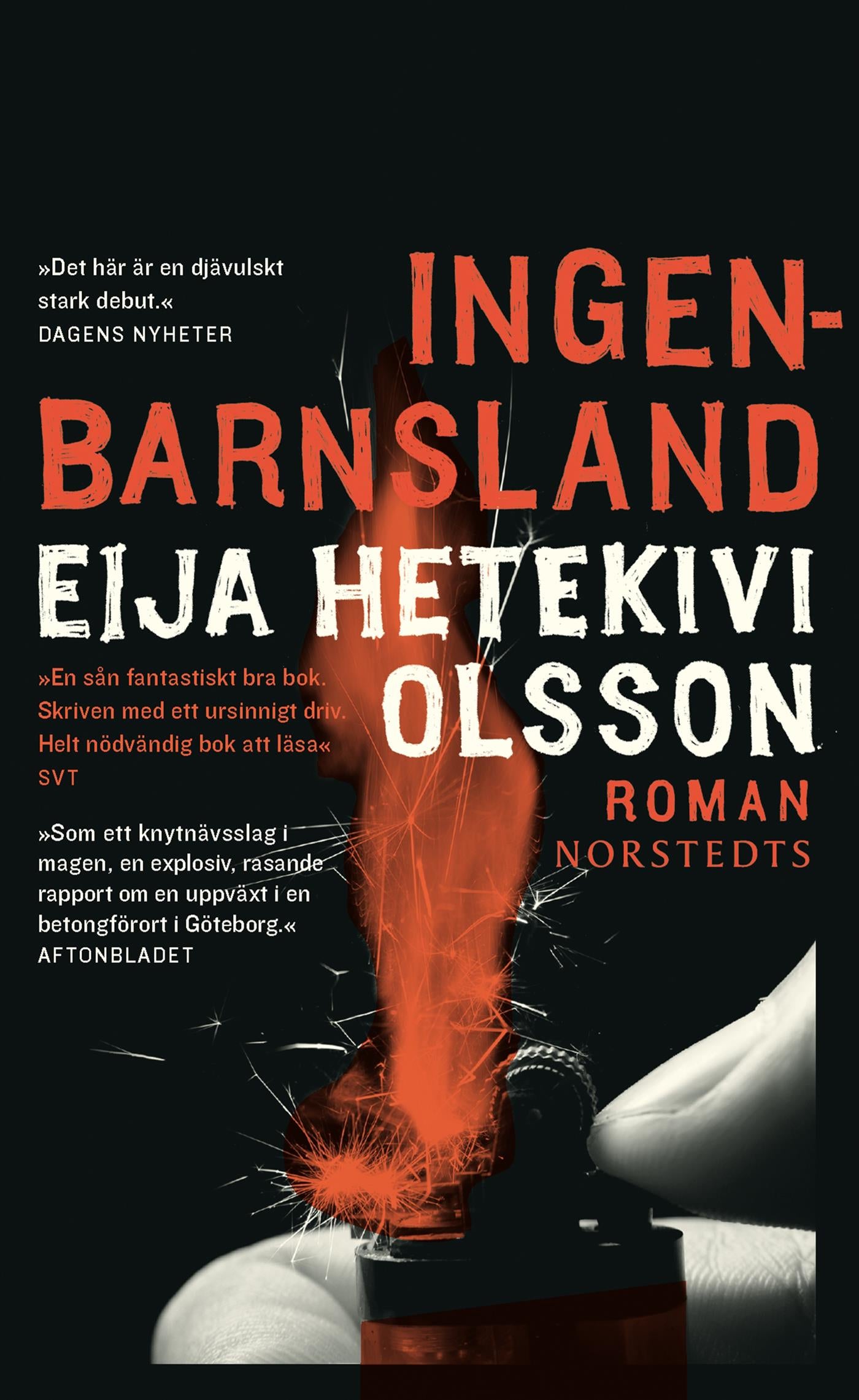 Ingenbarnsland – E-bok