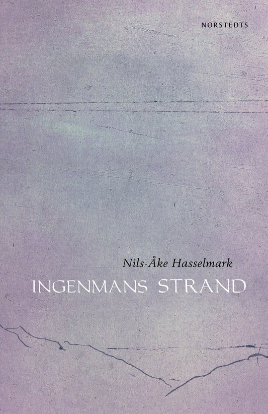 Ingenmans strand – E-bok