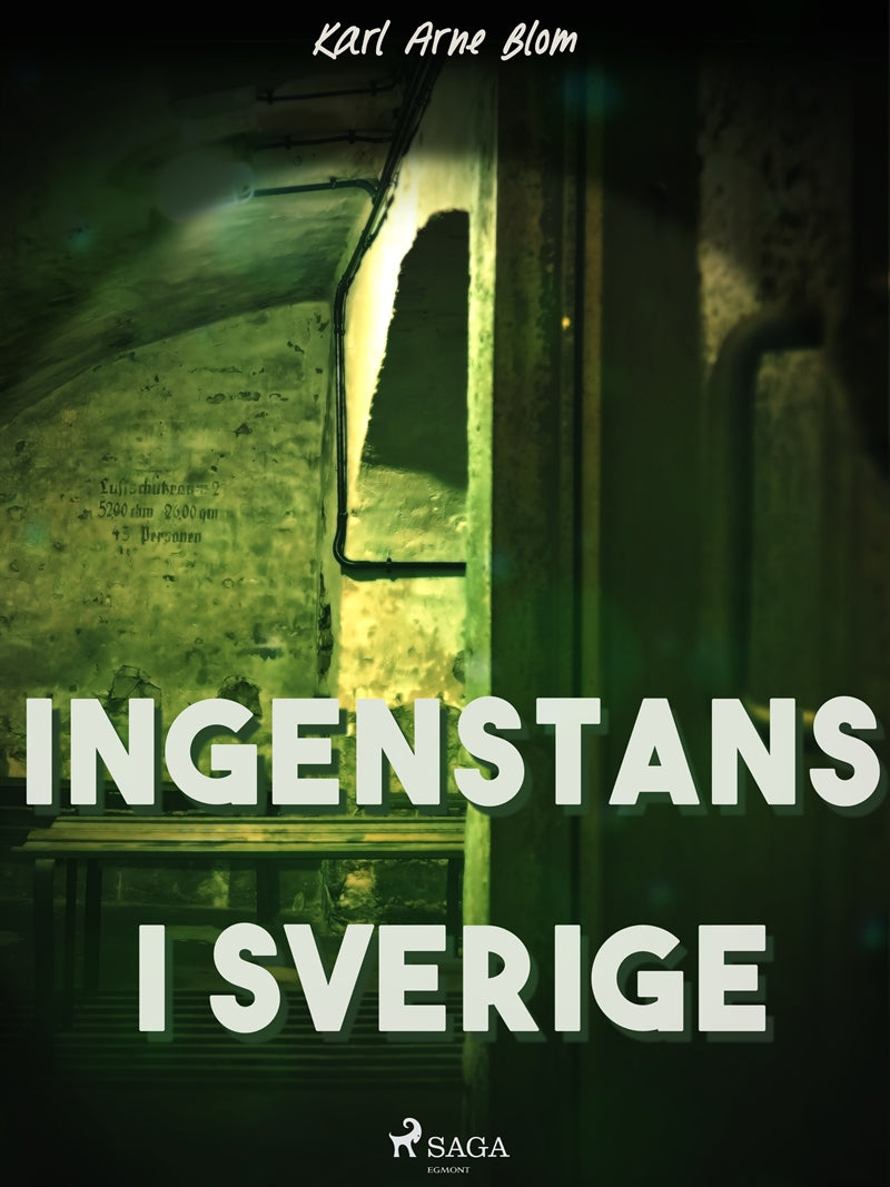 Ingenstans i Sverige – E-bok