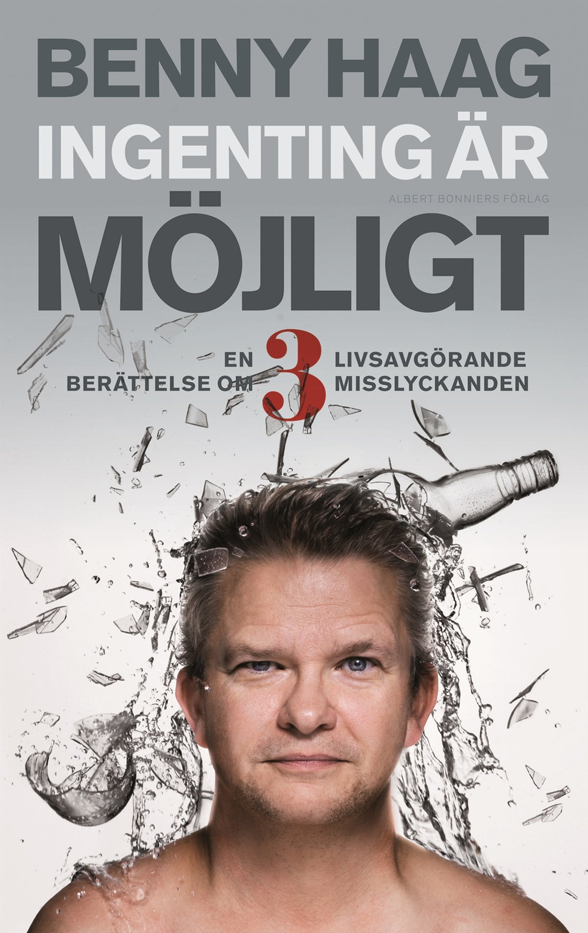 Ingenting är möjligt – E-bok