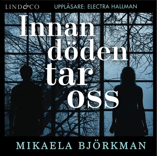 Innan döden tar oss – Ljudbok