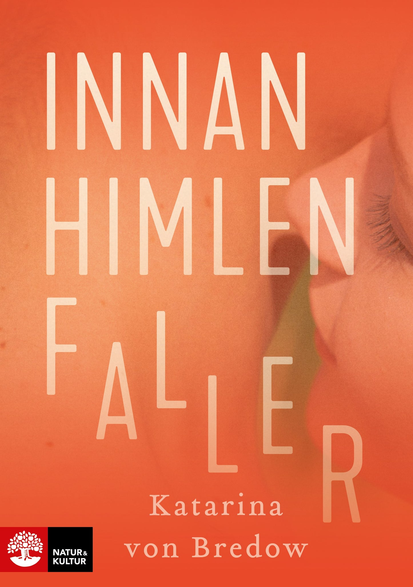 Innan himlen faller – E-bok
