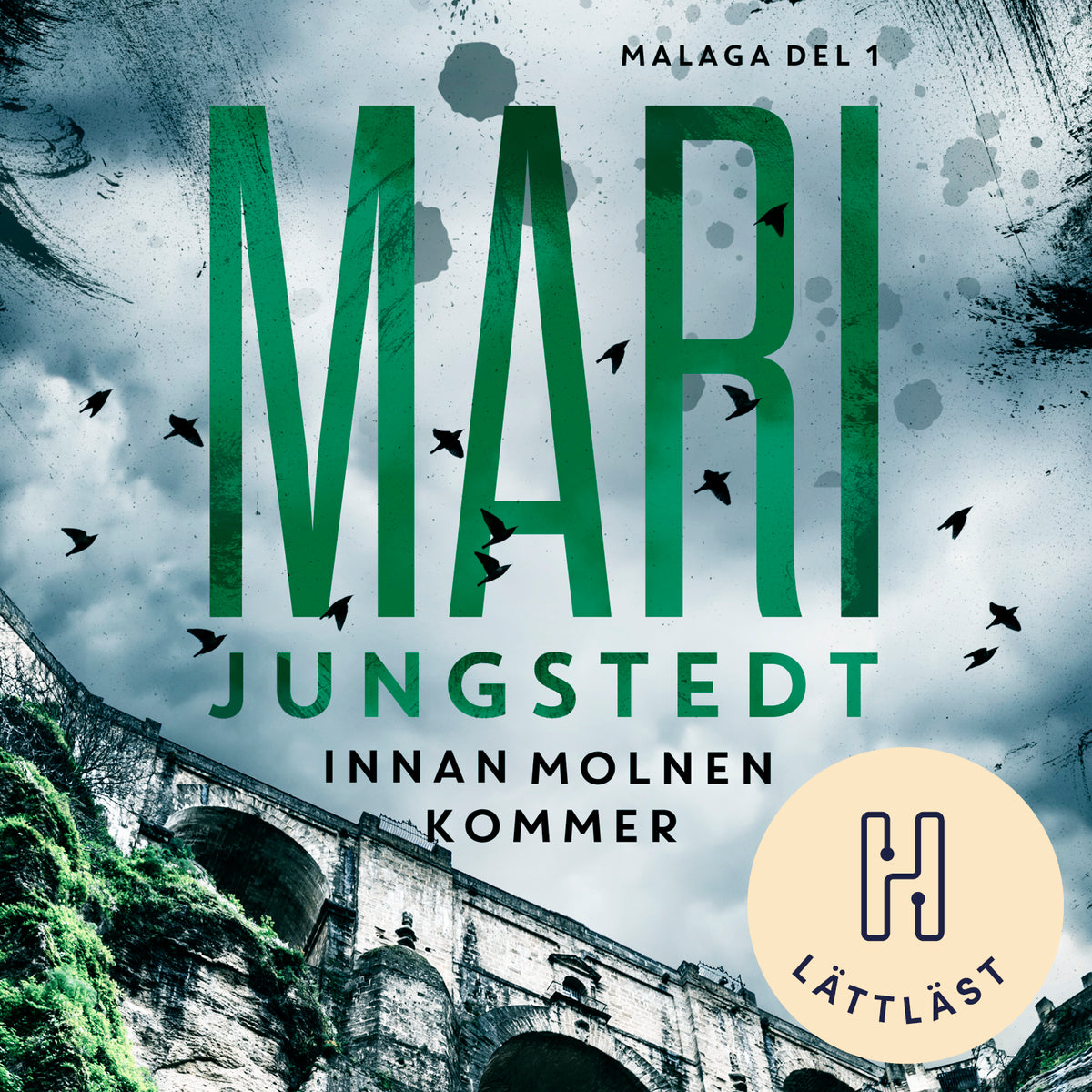 Innan molnen kommer (lättläst) – Ljudbok