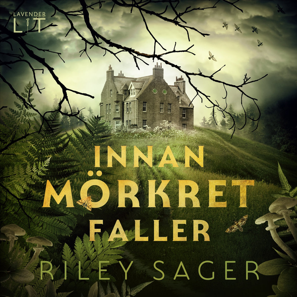 Innan mörkret faller – Ljudbok