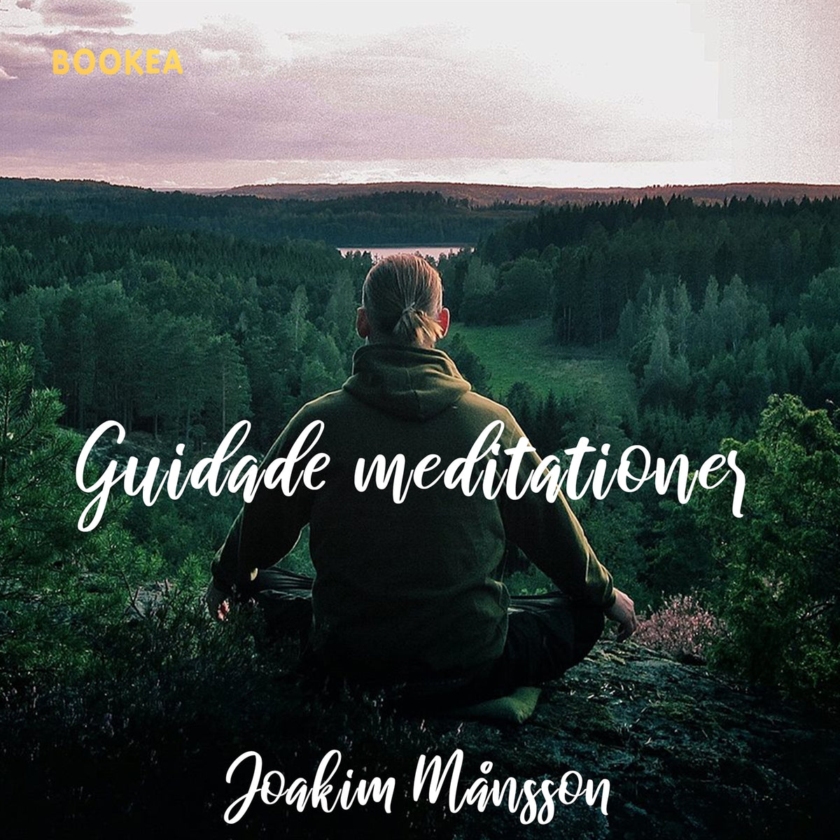 Insomning – Ljudbok