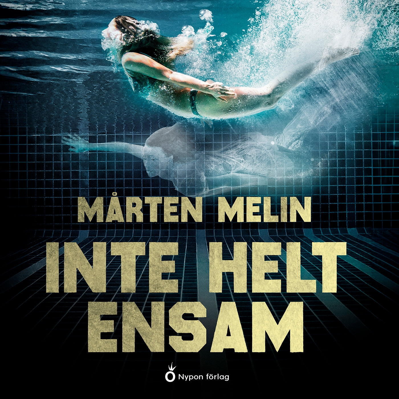 Inte helt ensam – Ljudbok