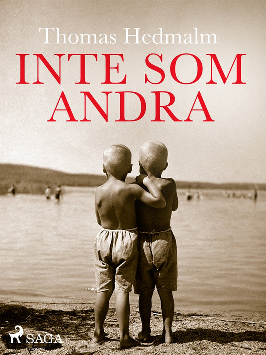 Inte som andra – E-bok