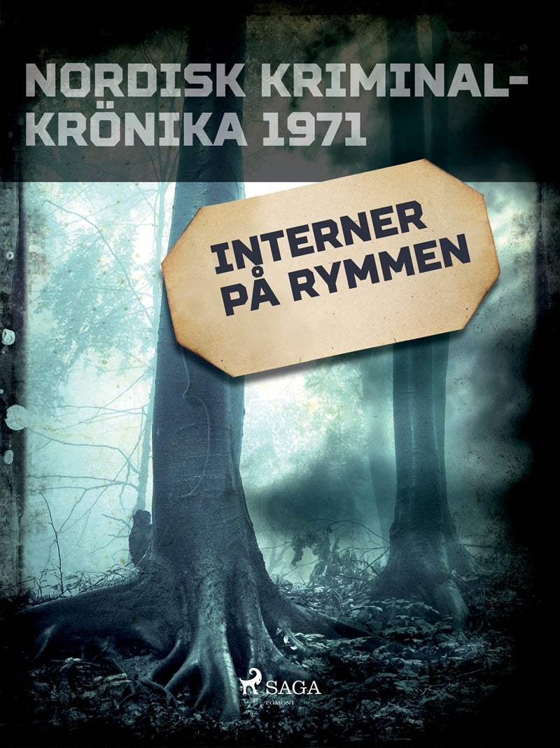 Interner på rymmen – E-bok