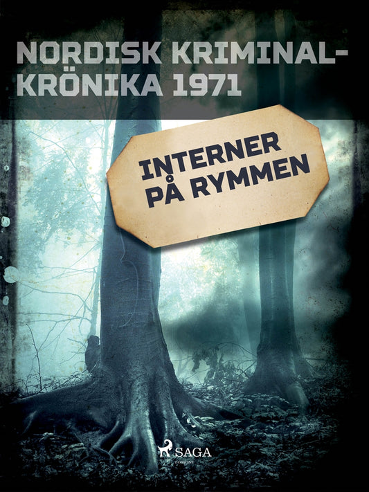 Interner på rymmen – E-bok