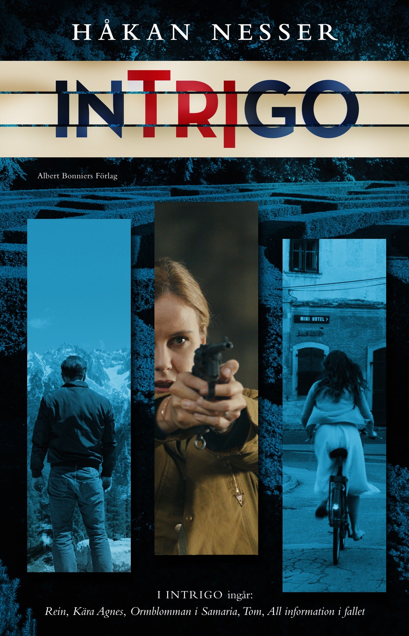 Intrigo – E-bok