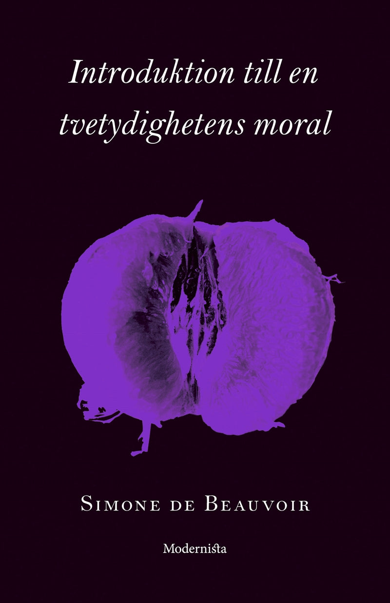 Introduktion till en tvetydighetens moral – E-bok