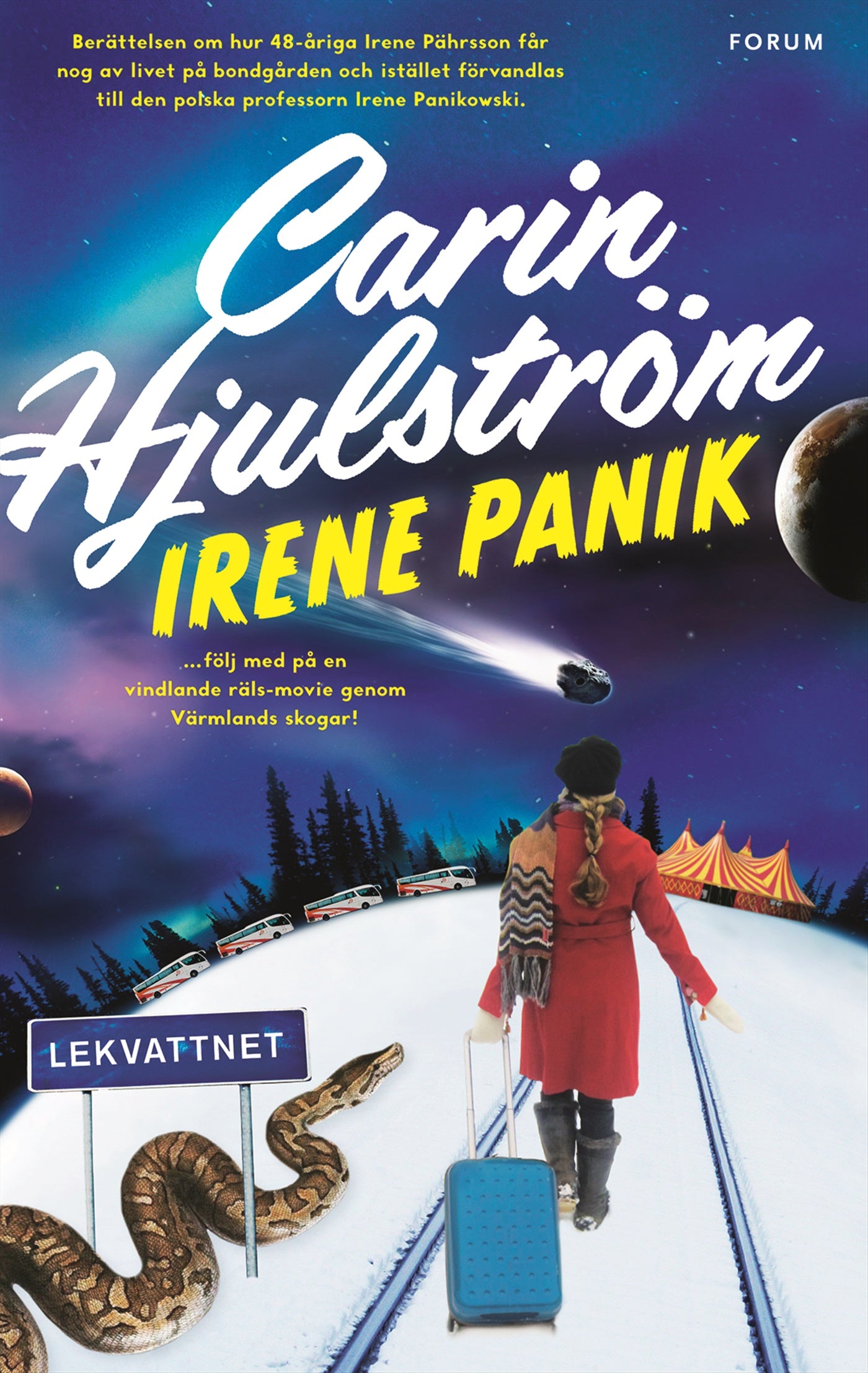 Irene Panik  – E-bok