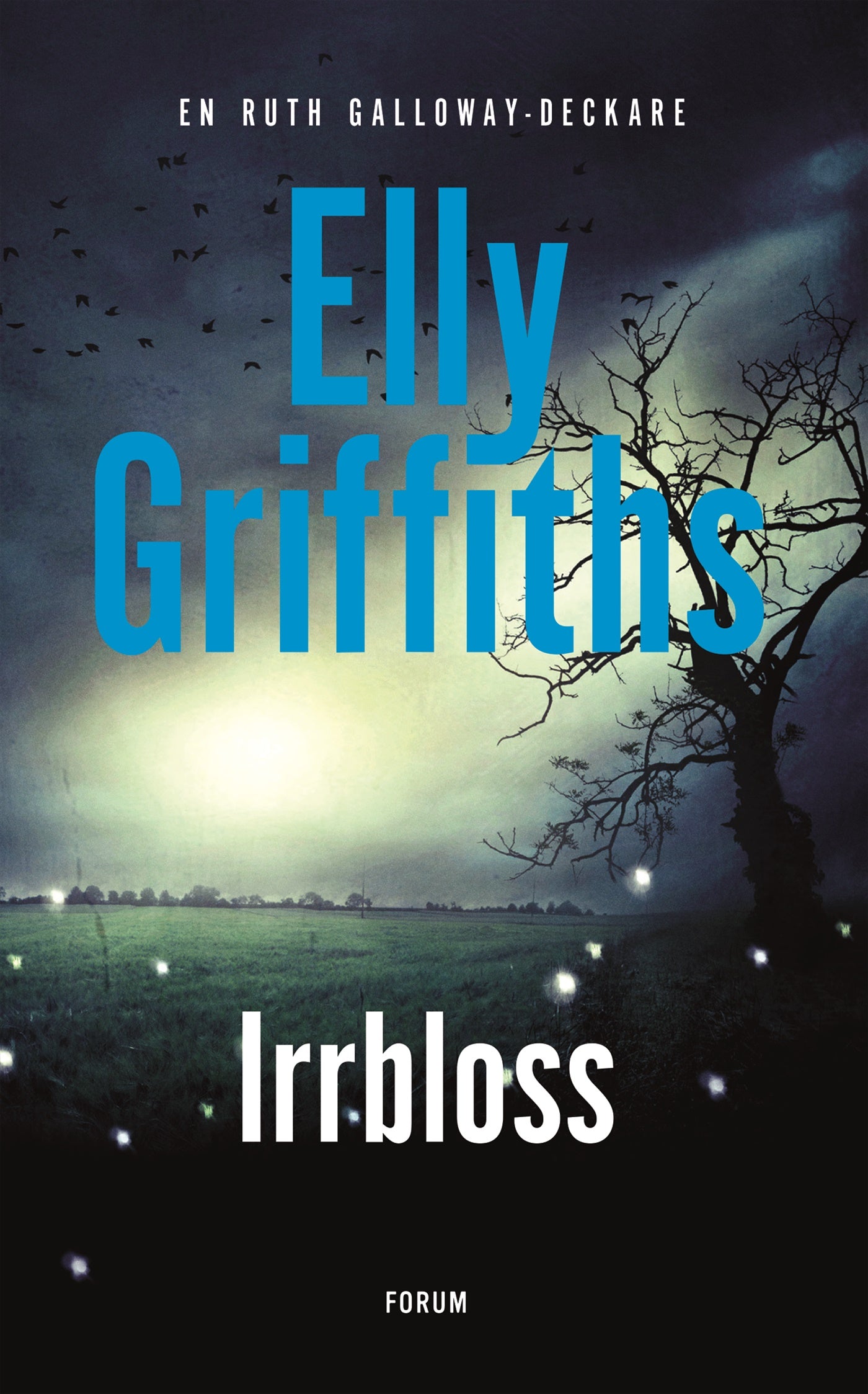 Irrbloss – E-bok