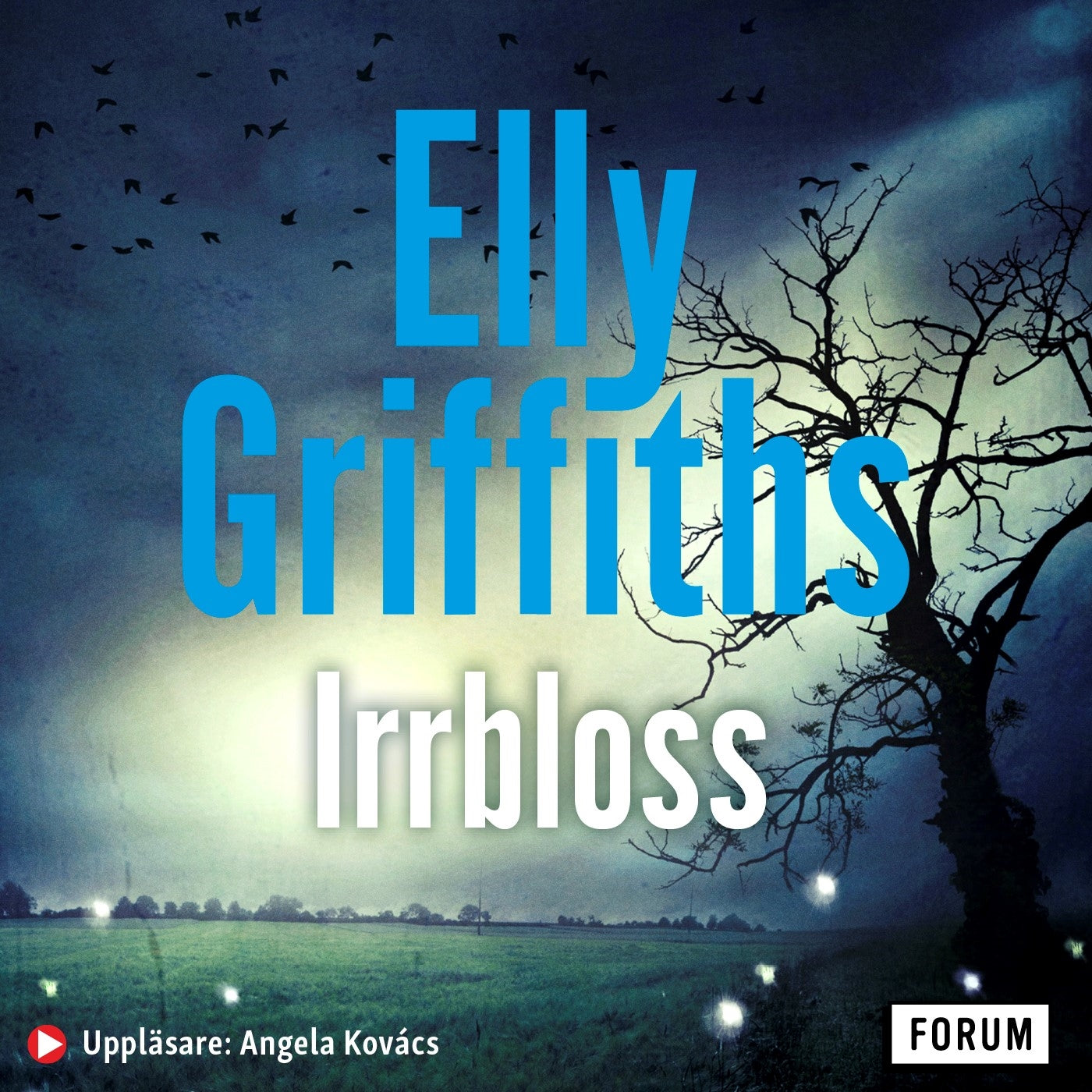 Irrbloss – Ljudbok