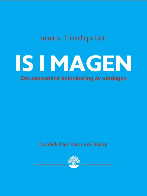 Is i magen – E-bok