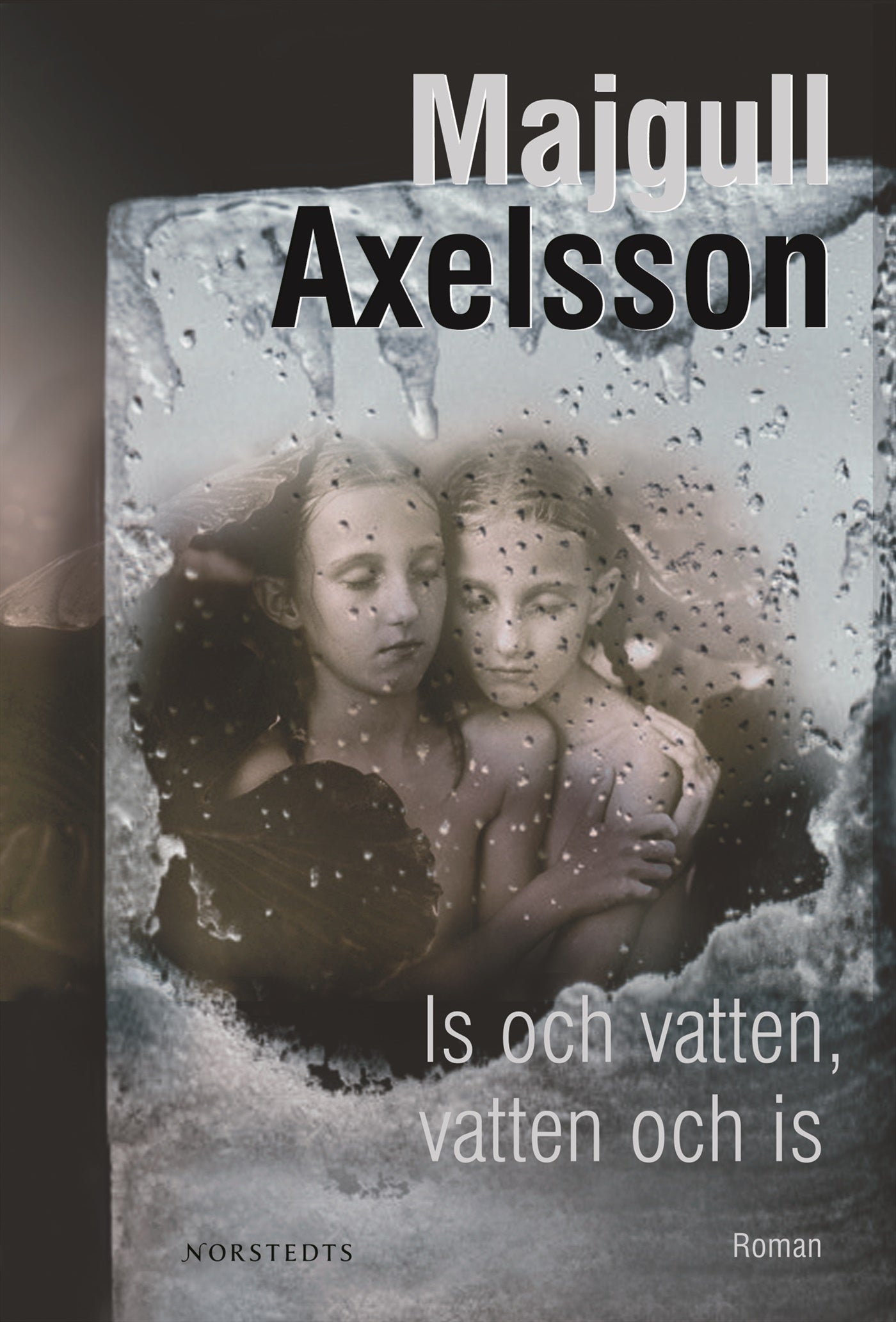 Is och vatten, vatten och is – E-bok