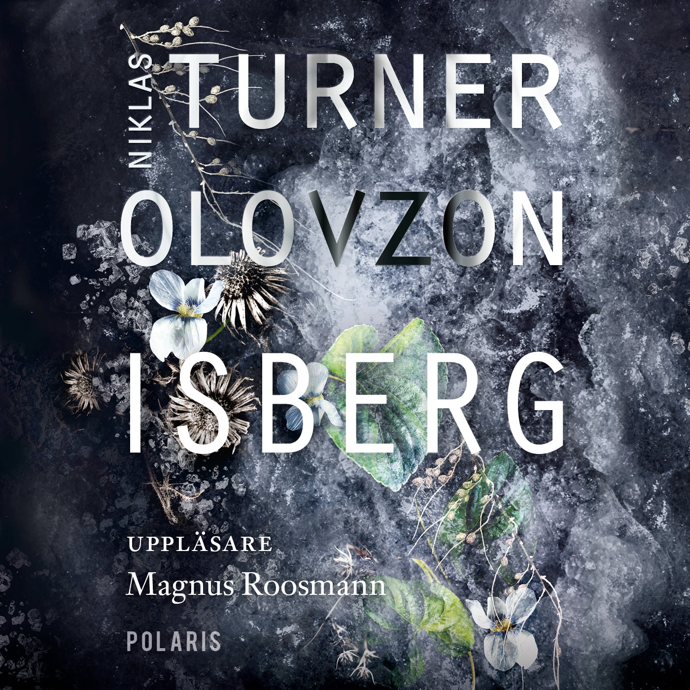 Isberg – Ljudbok