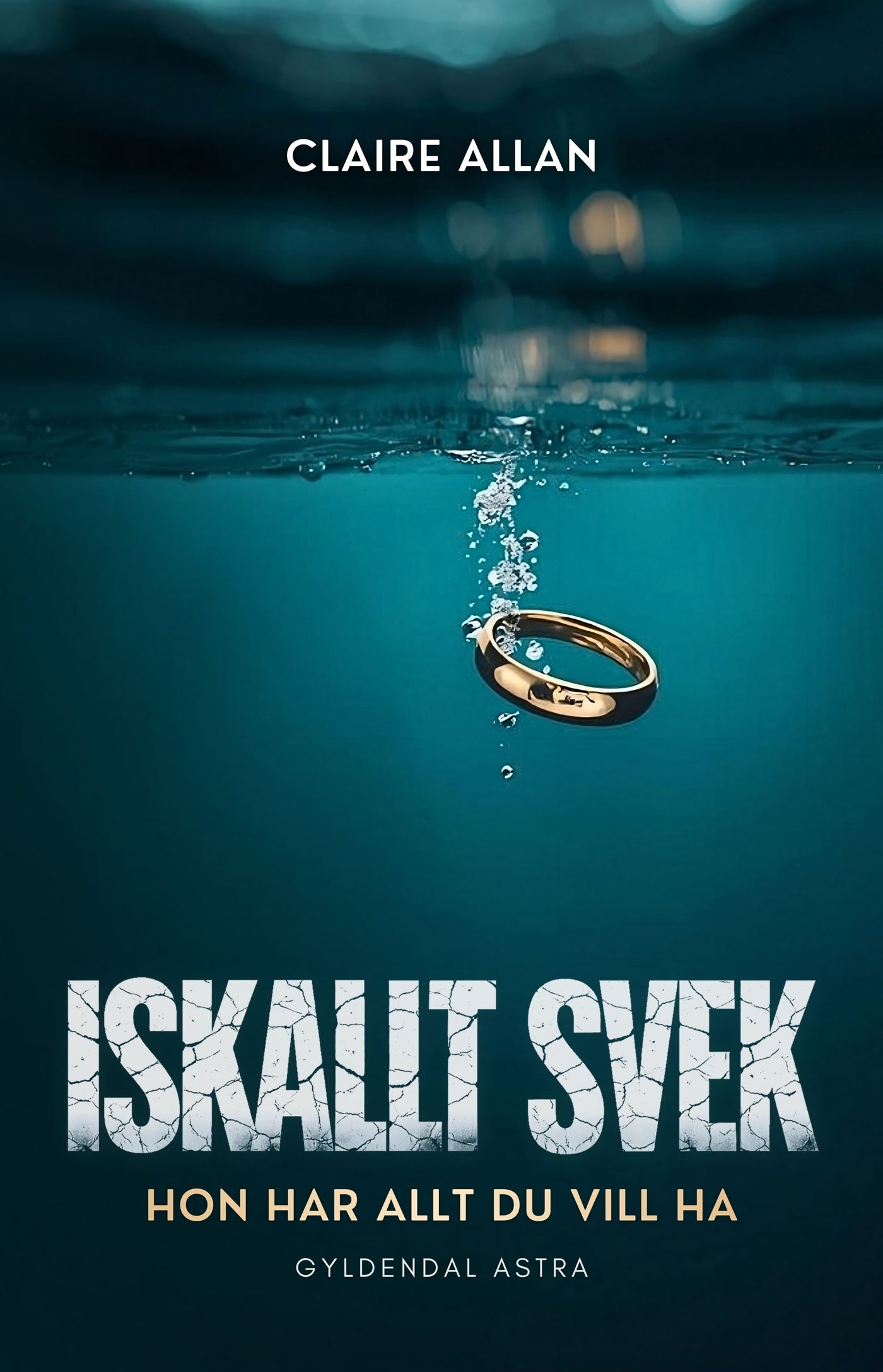 Iskallt svek – E-bok