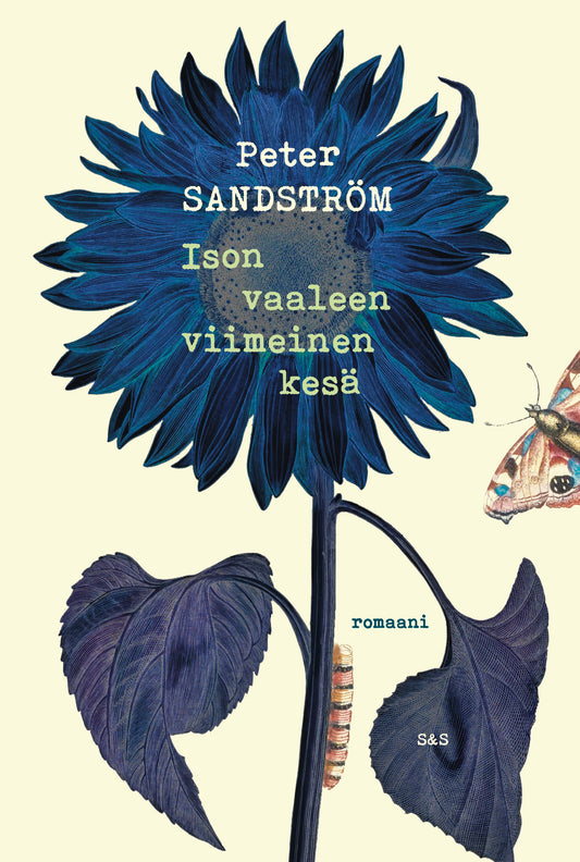 Ison vaaleen viimeinen kesä – E-bok