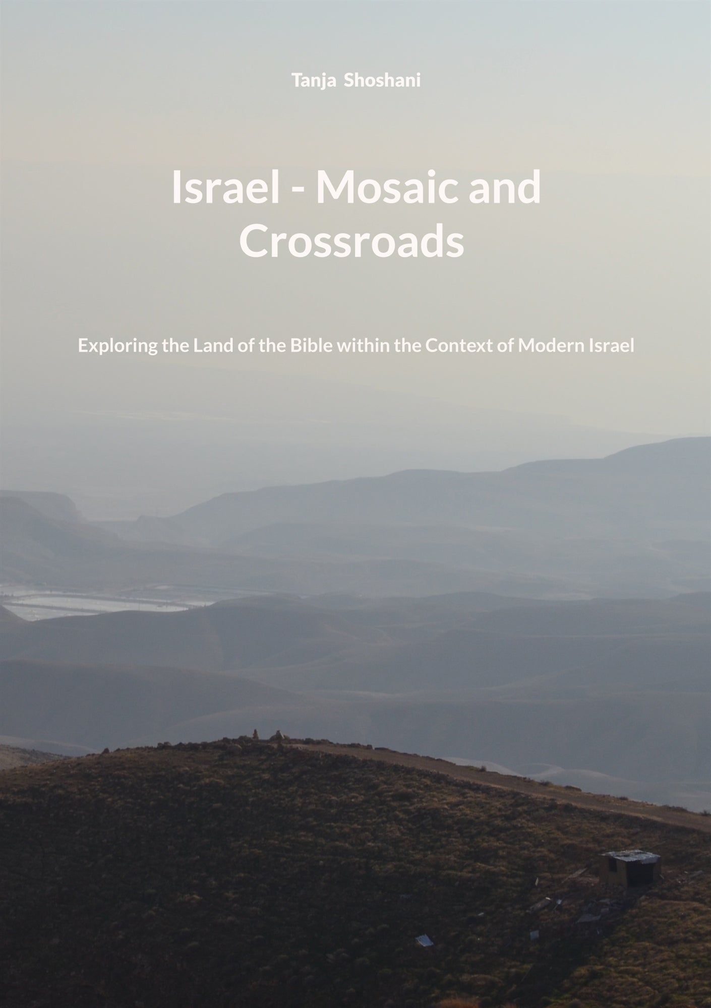 Israel - Mosaic and Crossroads: Exploring the Land of the Bible within the Context of Modern Israel – E-bok