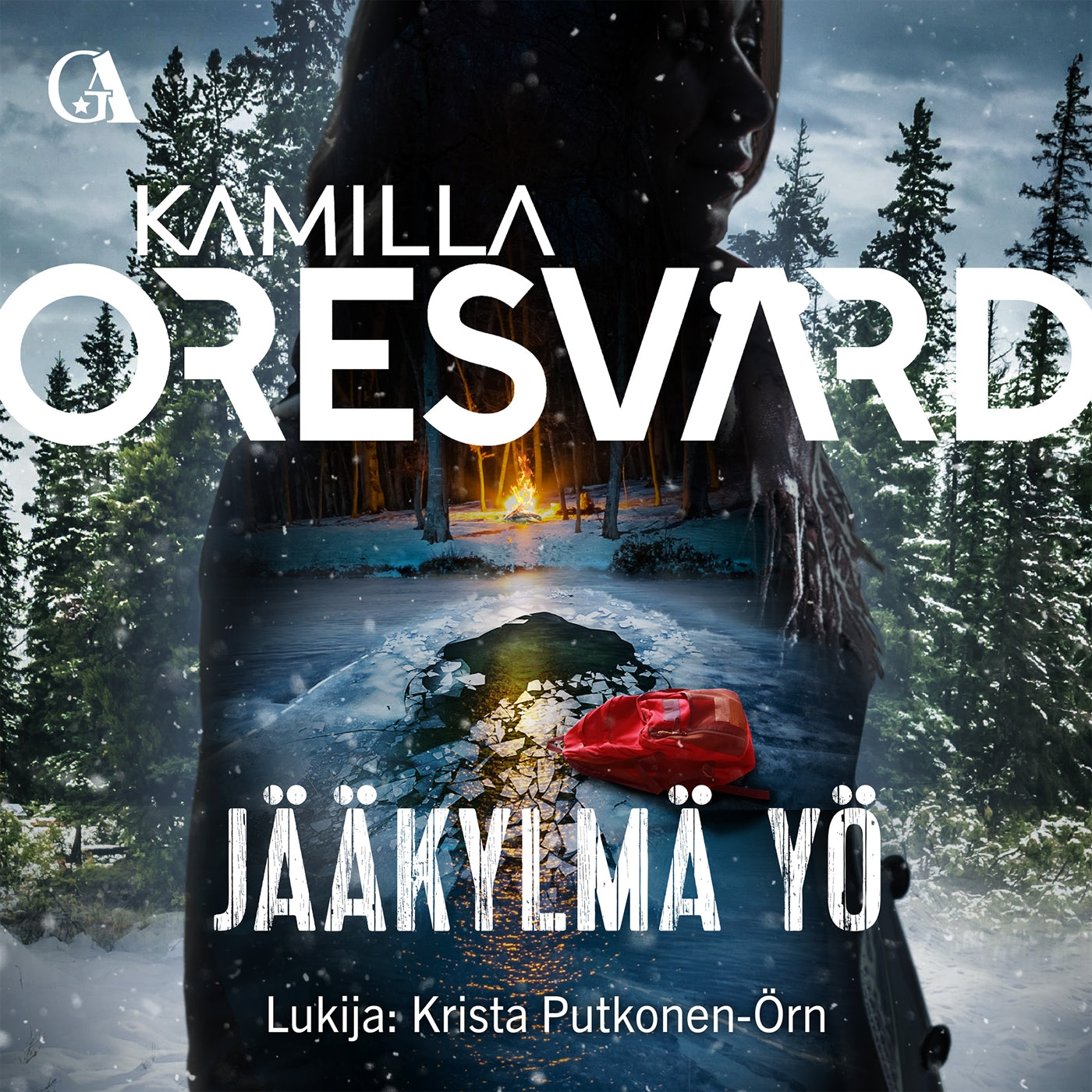 Jääkylmä yö – Ljudbok