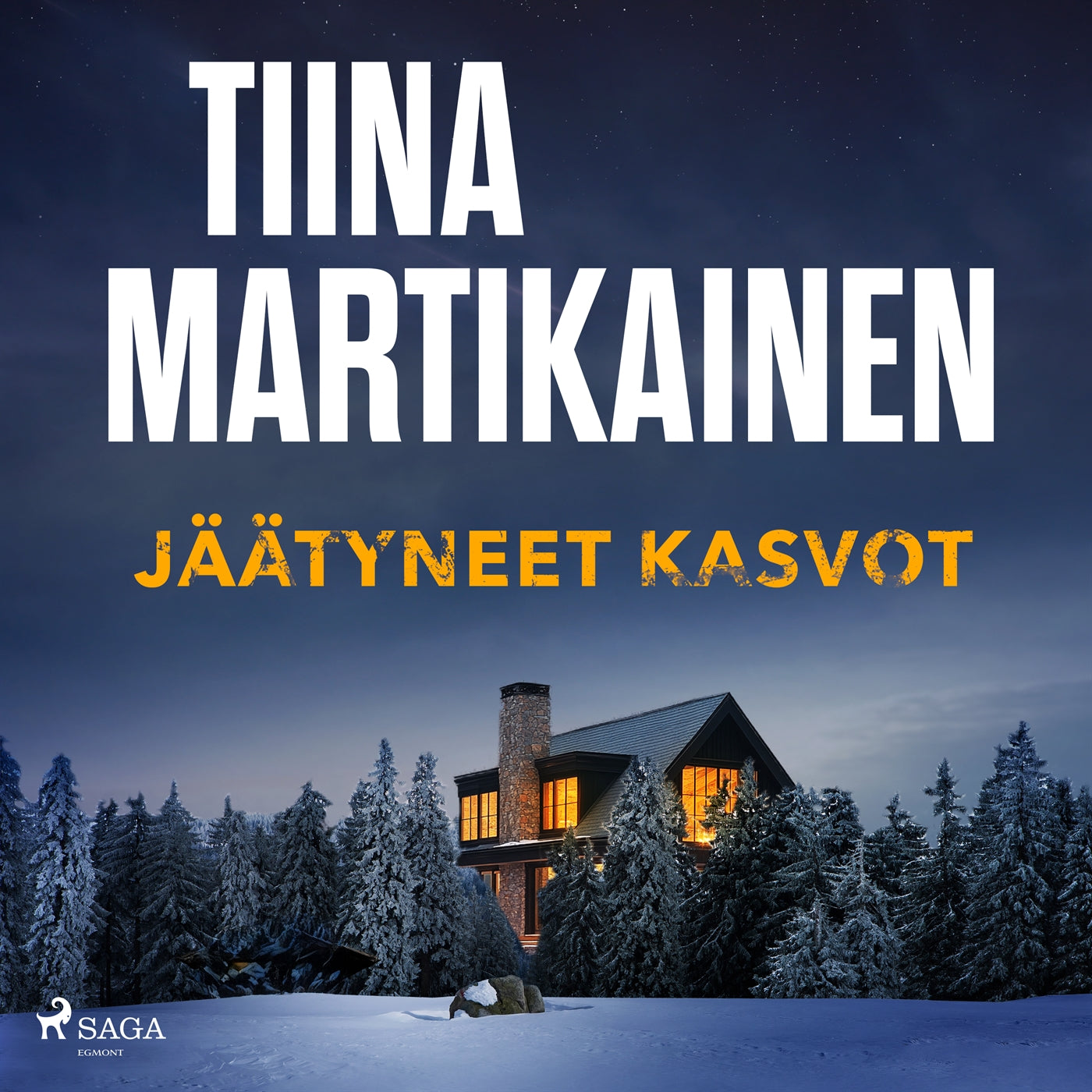 Jäätyneet kasvot – Ljudbok