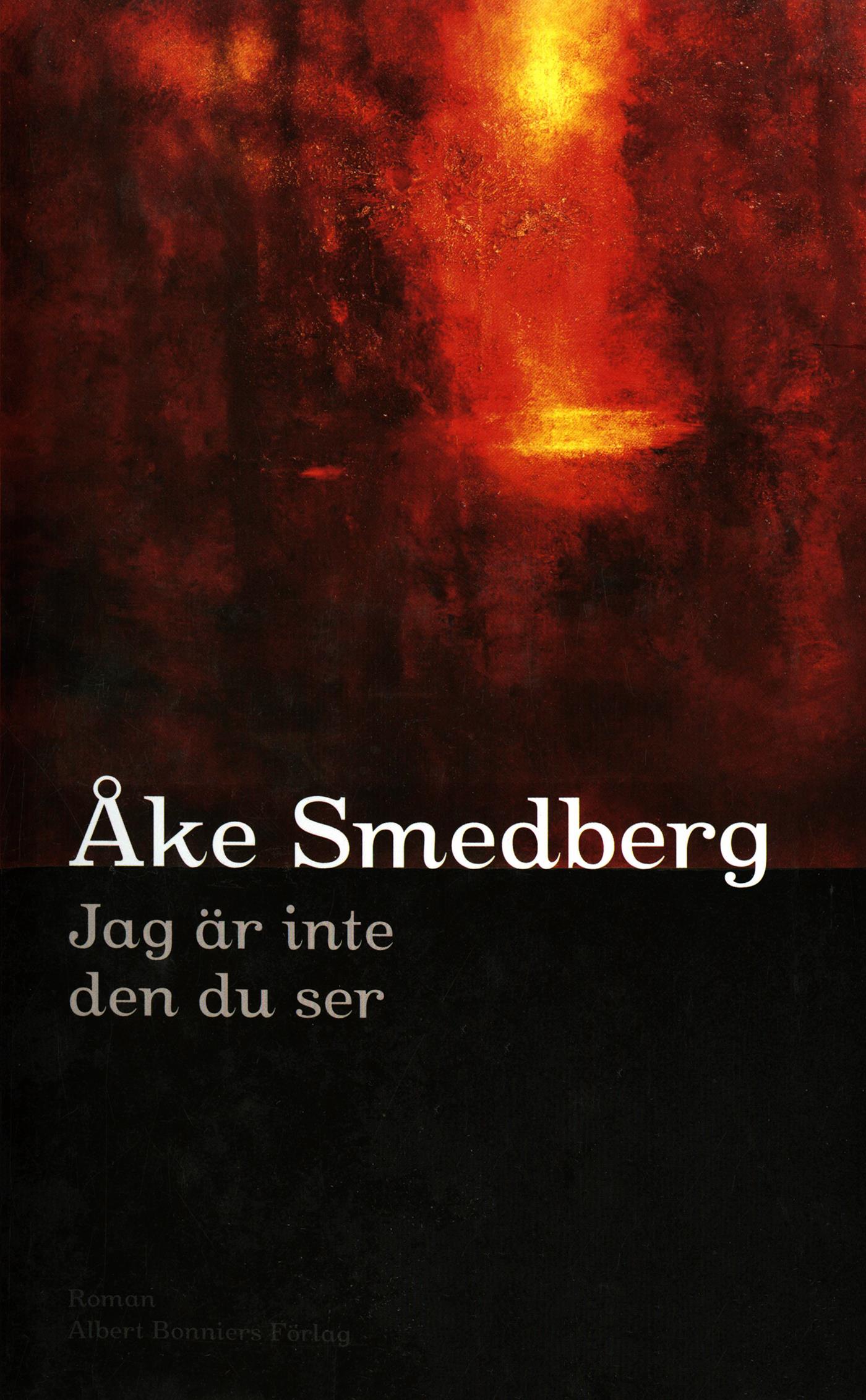 Jag är inte den du ser – E-bok
