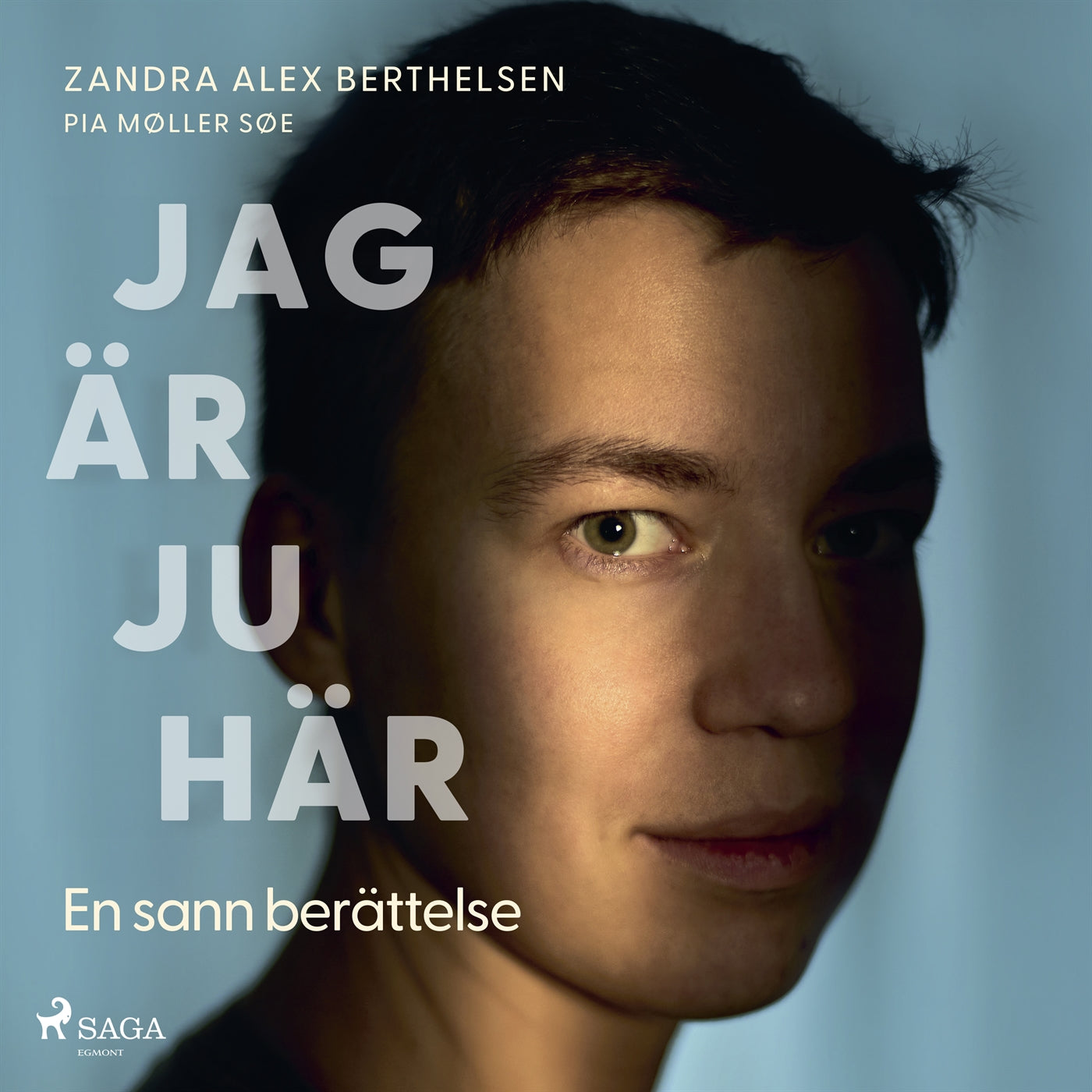 Jag är ju här: En sann berättelse – Ljudbok