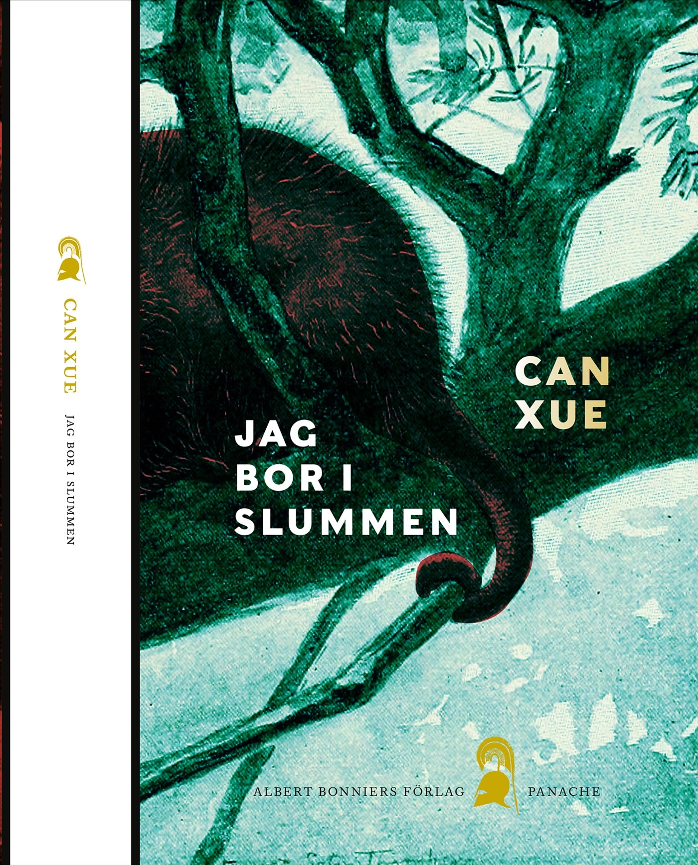 Jag bor i slummen – E-bok