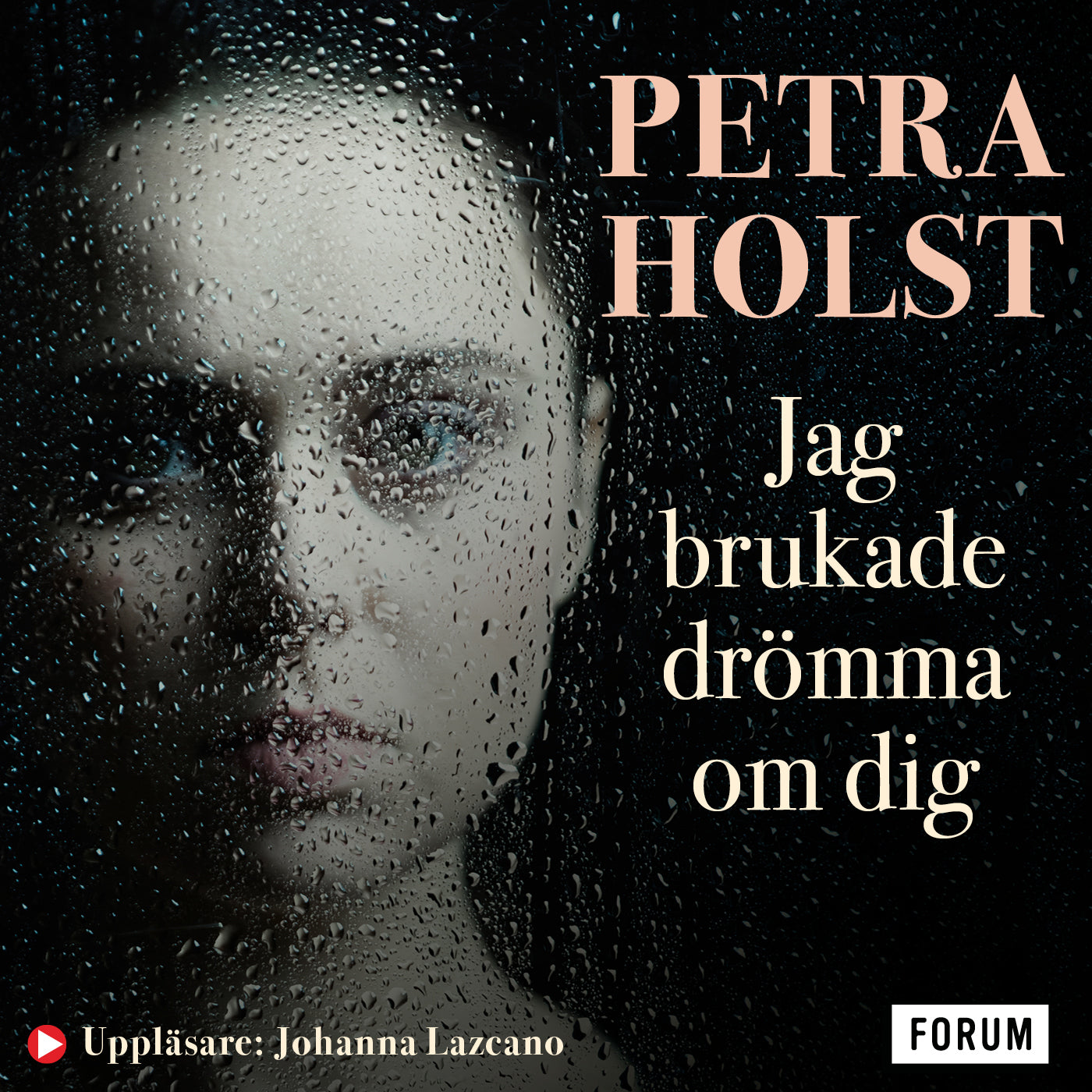 Jag brukade drömma om dig – Ljudbok