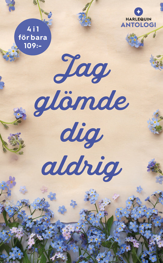 Jag glömde dig aldrig – E-bok