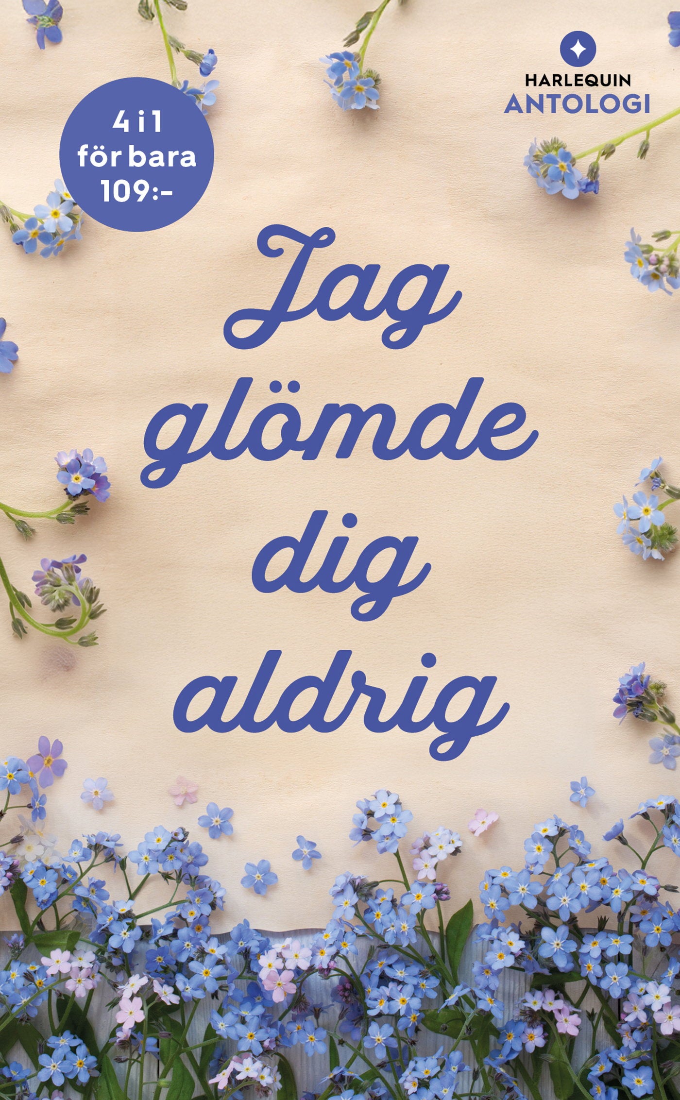 Jag glömde dig aldrig – E-bok