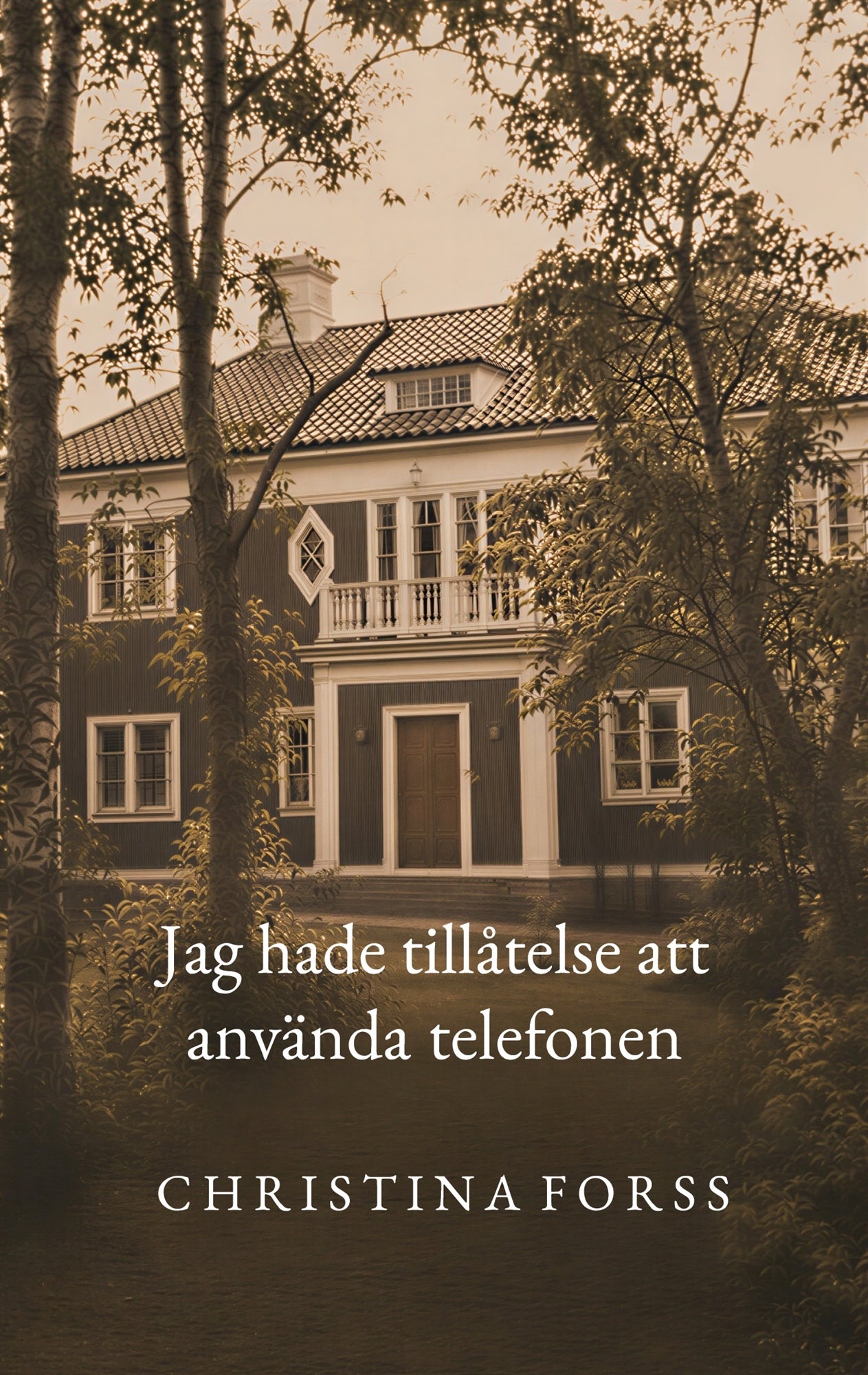 Jag hade tillåtelse att använda telefonen – E-bok